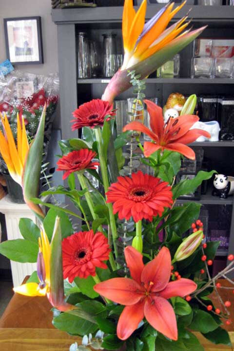 show image
