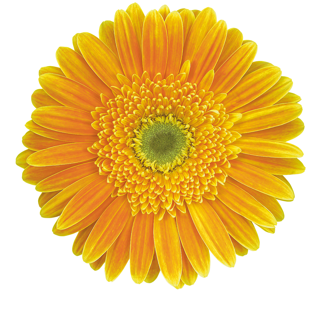 show image