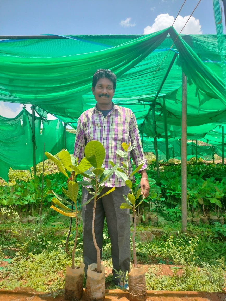 Hi-Tech Agriculture in Bhubaneswar