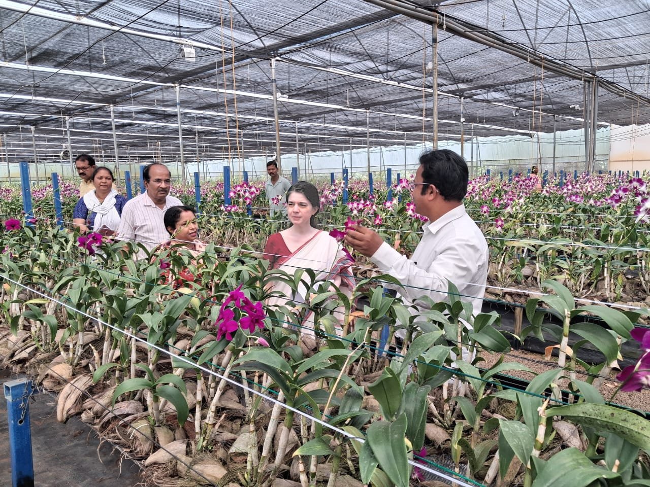 Plant Nursery in Acharyavihar 