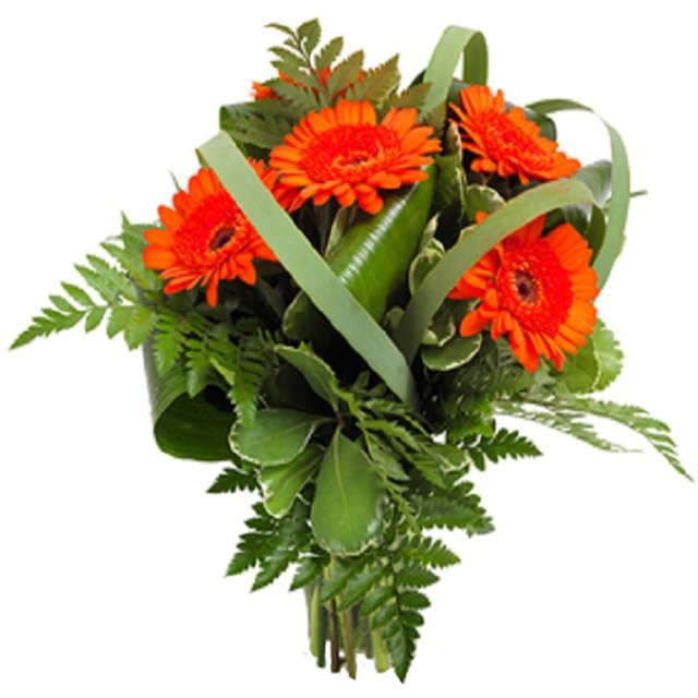 Natan Gerbera Flower